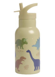 A Little Lovely Company RVS Drinkfles Dinosaurussen