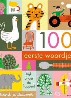 Boek 100 Eerste Woordjes