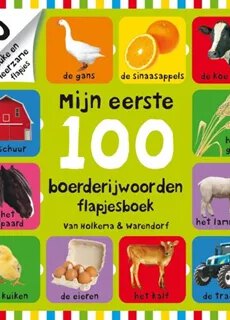 Boek 100 eerste woordjes in de stad