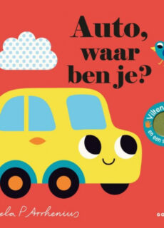 Boek Auto