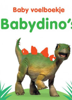 Boek Baby Voelboekje Babydino's