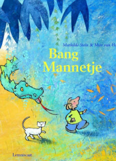 Boek Bang Mannetje