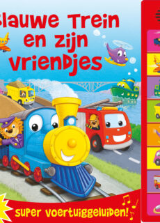 Boek Blauwe Trein en zijn Vriendjes