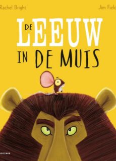 Boek De Leeuw in de Muis