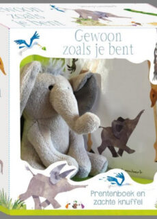 Boek Gewoon zoals je bent (giftset)