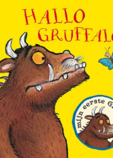 Boek Hallo Gruffalo! (buggyboekje)