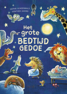 Boek Het grote bedtijdgedoe