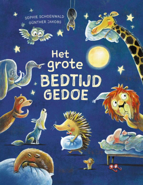 Boek Het grote bedtijdgedoe