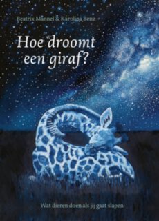 Boek Hoe droomt een giraf?