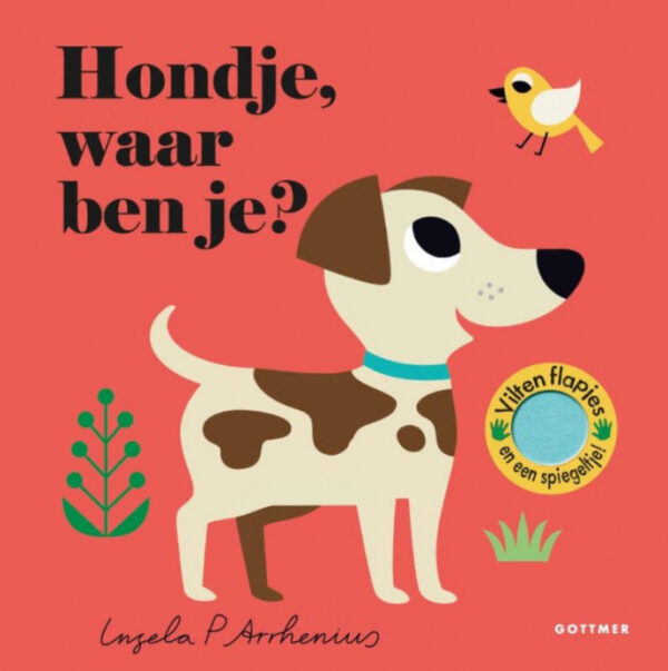 Boek Hondje