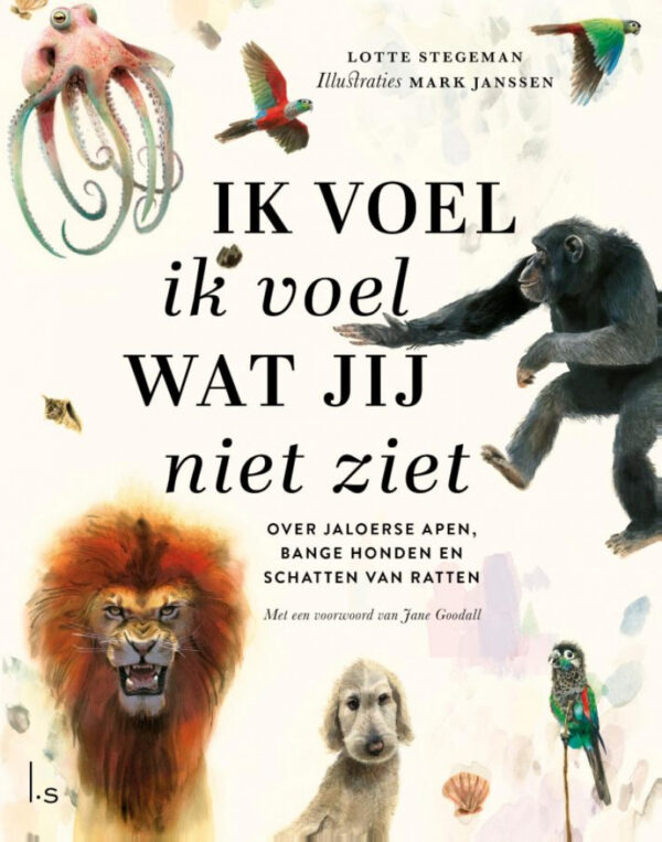 Boek Ik voel ik voel wat jij niet ziet