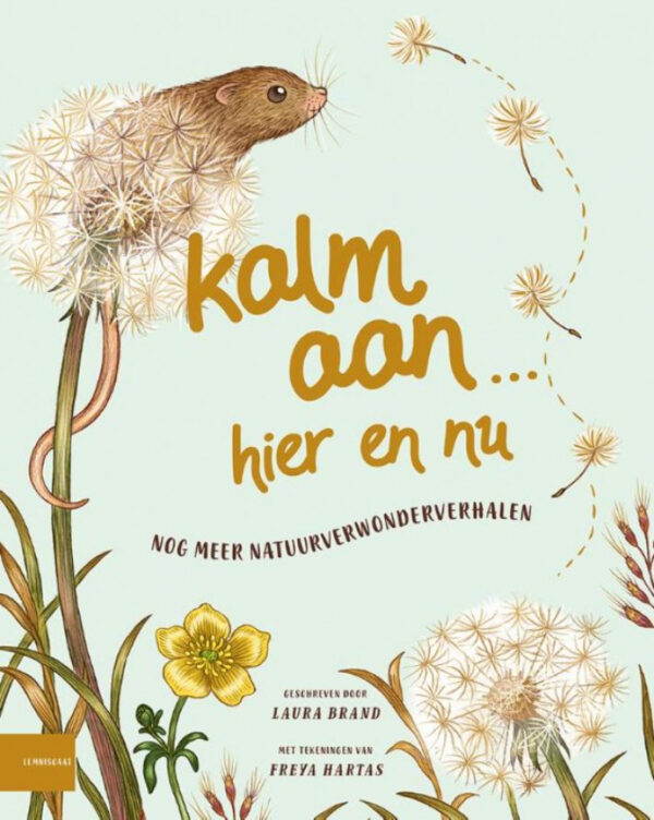 Boek Kalm aan... Hier en nu