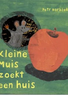 Boek Kleine Muis zoekt een huis