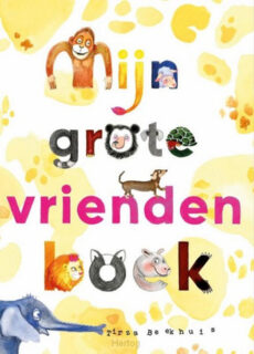 Boek Mijn grote vriendenboek