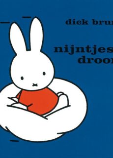 Boek Nijntjes droom