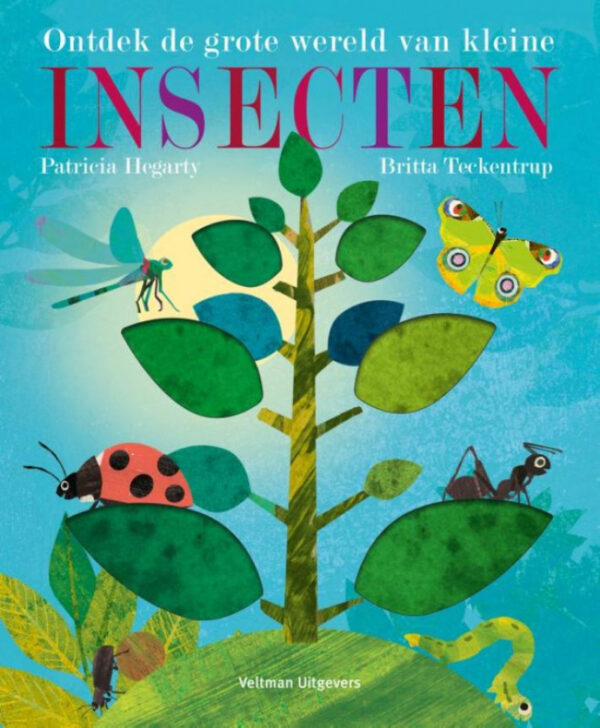 Boek Ontdek de grote wereld van kleine Insecten