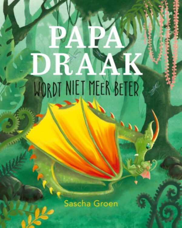 Boek Papa Draak wordt niet meer beter