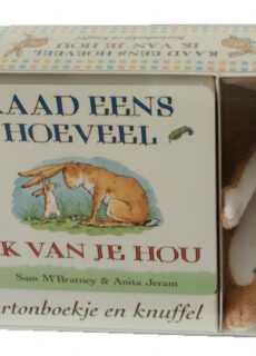 Boek Raad eens hoeveel