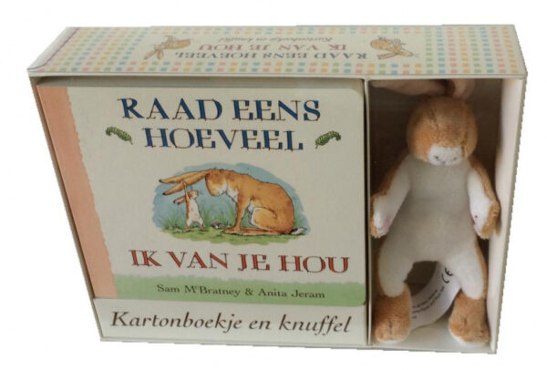 Boek Raad eens hoeveel