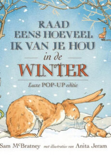 Boek Raad eens... in de winter (pop-up)