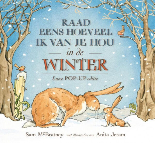 Boek Raad eens... in de winter (pop-up)