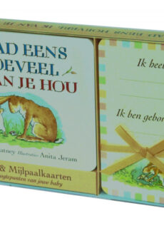 Boek Raad eens... kartonboek + mijlpaalkaarten