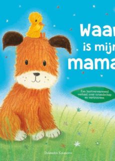 Boek Waar is mijn mama?