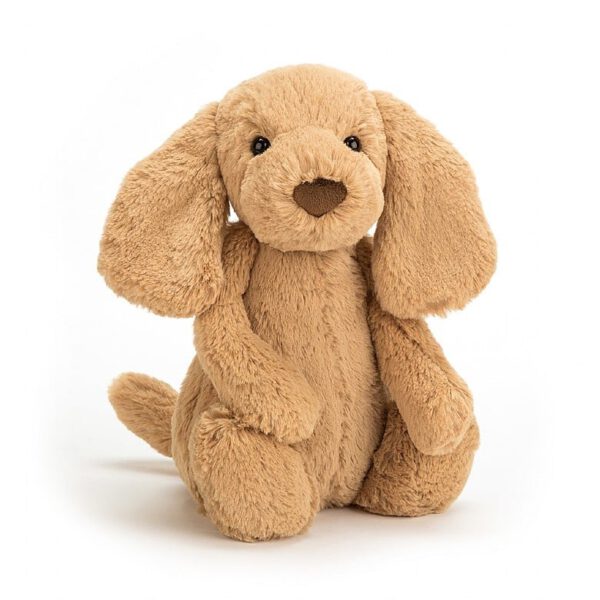 Jellycat Knuffel Bashful Toffee Puppy Little