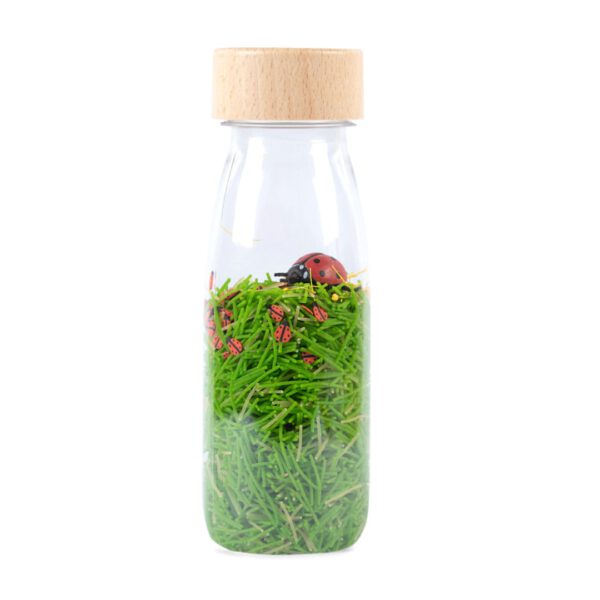 Petit Boum Sound Bottle Lieveheersbeestje