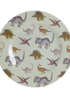 Rice Melamine Lunch Bord New Dino