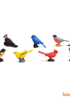 Safari Ltd. Toob Speelfiguren Backyard Birds