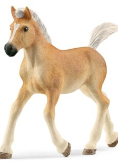 Schleich Horse Club | Haflinger Veulen (13951)