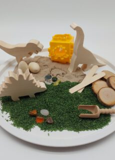 Sensory Play Dinosaurus Box