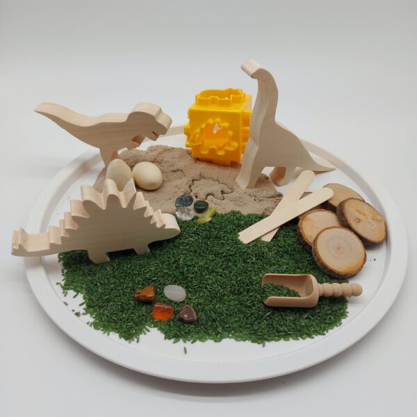 Sensory Play Dinosaurus Box