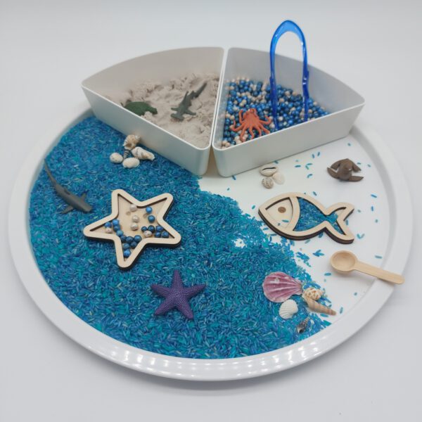 Sensory Play Oceaan Box